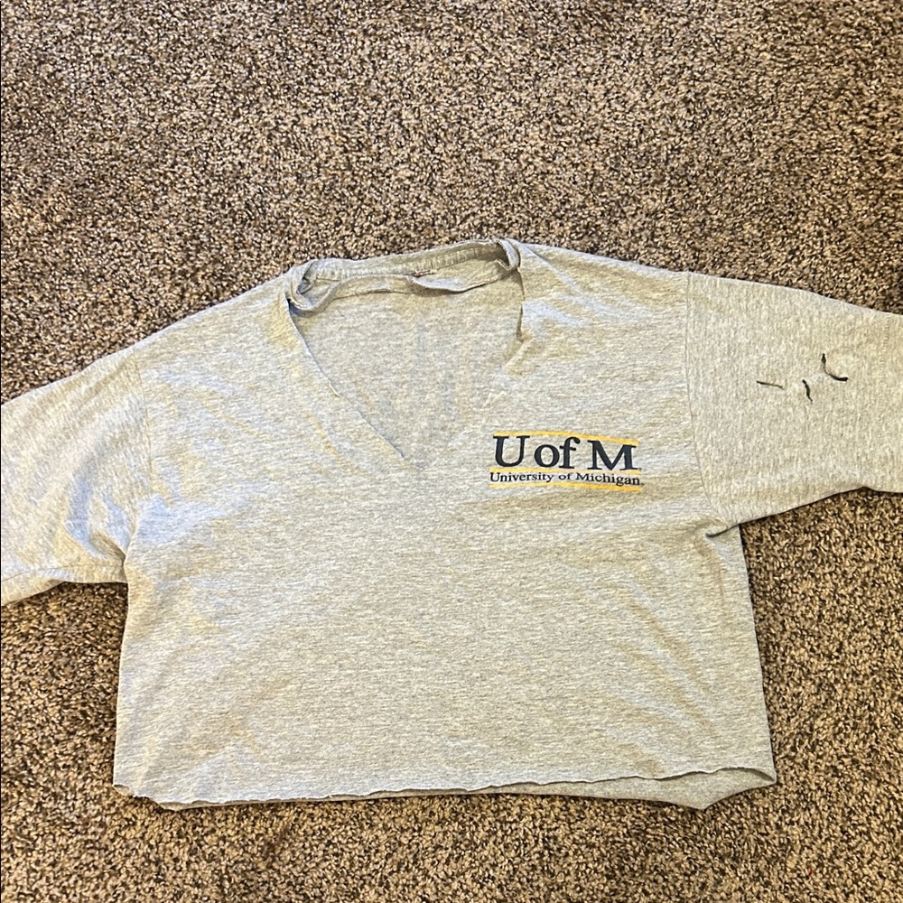 University of Michigan Gray V-Neck Cropped Tee